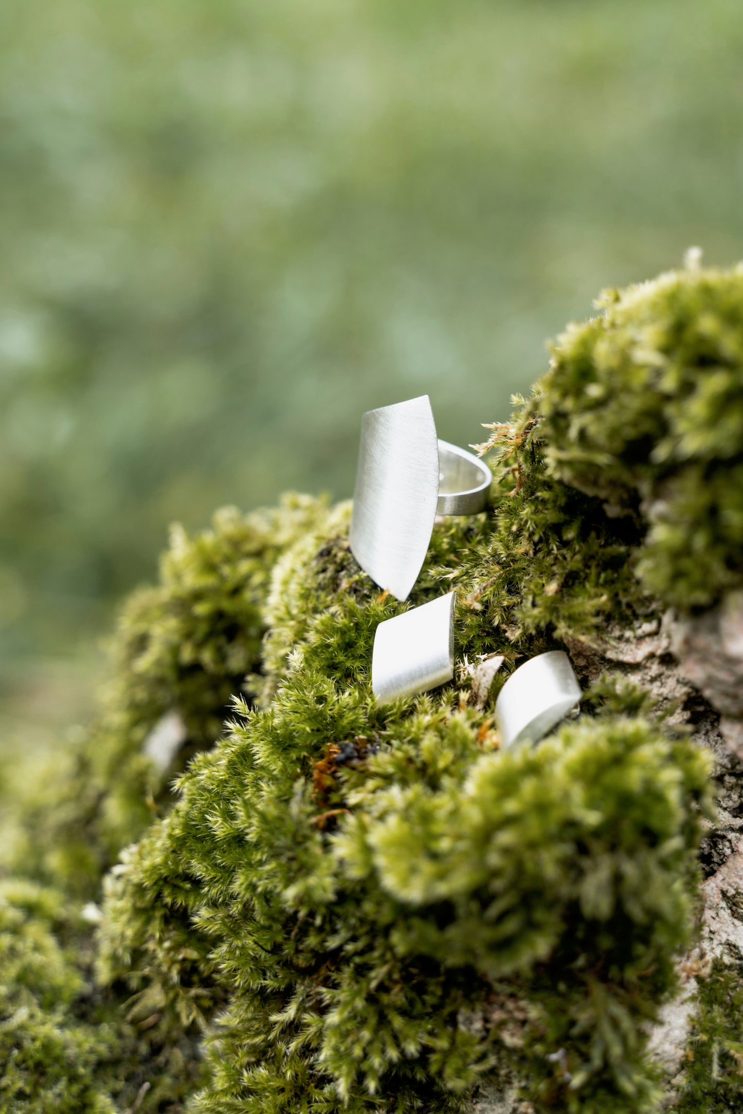 Ring „Evergreen“