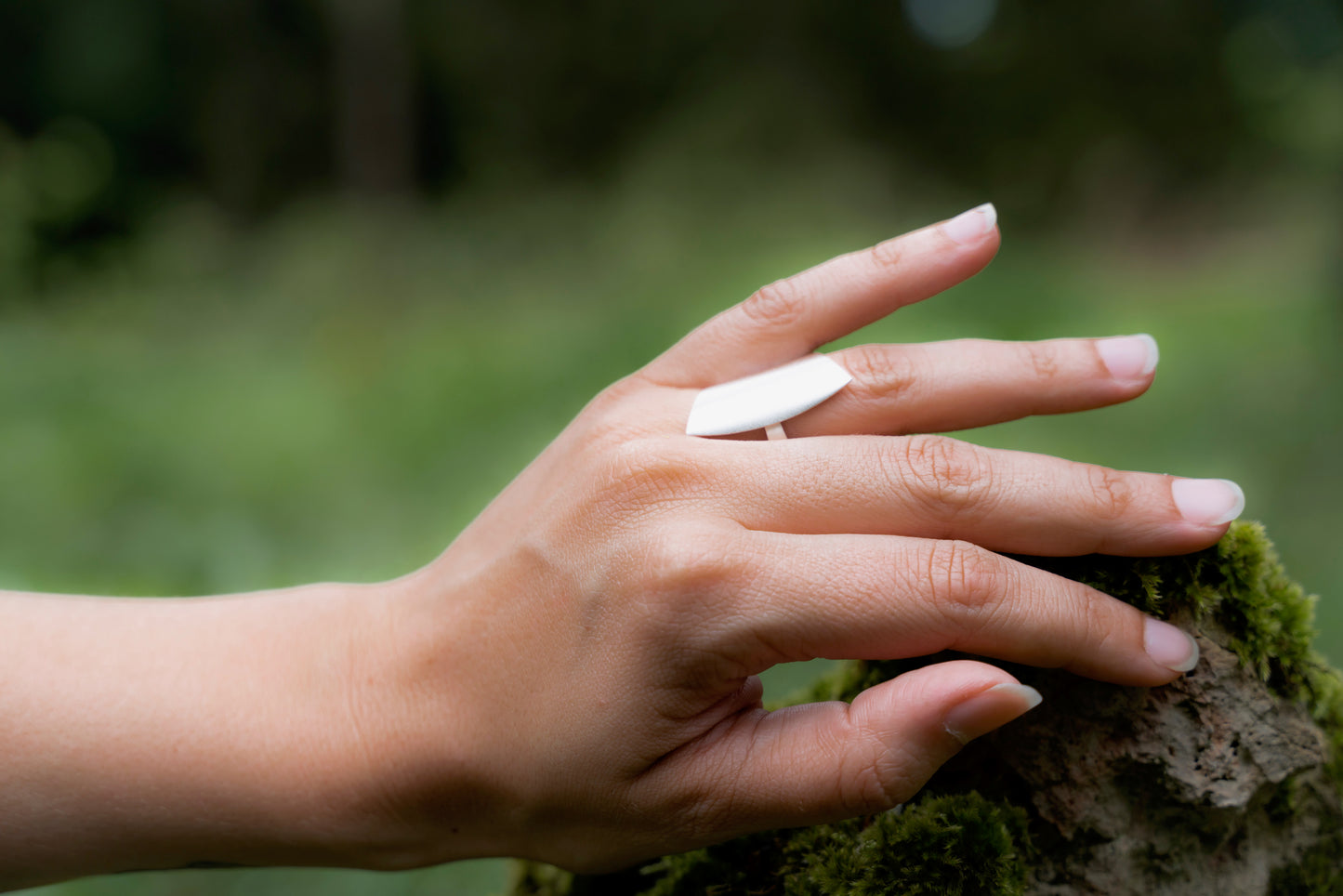 Ring „Evergreen“